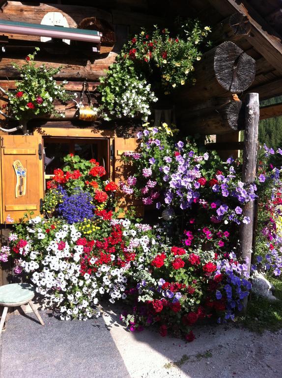 Andrea Schmaranzer - Privatzimmer Gosau Exterior foto